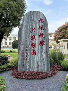 2026年武汉景观石厂家推荐：竣峰石业天然刻字石定制加工解析