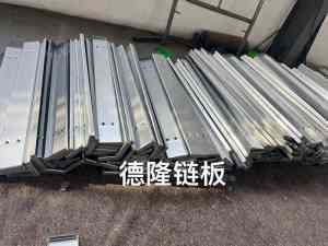 2026年不锈钢冲孔链板定做厂家推荐,德隆机械非标自动化流水线设备供应商