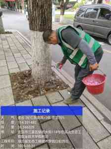 2026年白蚁专项勘测服务商精选：专业防治技术解析