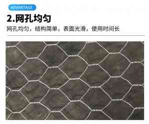 2026年包塑石笼网源头厂家推荐:京泽金属丝网防腐定制工艺解析