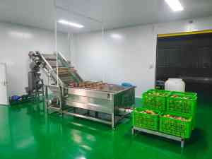 2026年山东碳酸饮品饮料生产线厂家推荐:沃达斯科智能科技解析