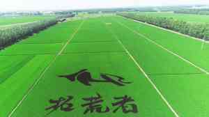 2026年八宝米源头厂家推荐:辉业食品有机杂粮代工实力解析