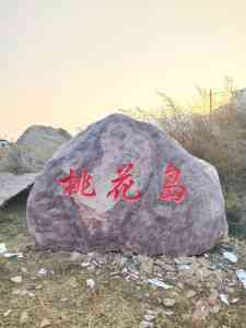 2026年武汉泰山石定做厂家解析：竣峰石业专注园林市政景观石材