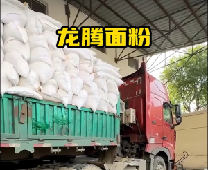 2026年面包粉实力厂家解析:永城龙腾面粉生产工艺与品控体系全解读