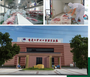2026年学校食堂食材配送厂商推荐:钱江食品集团供应链解析