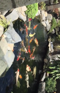 2026年大型锦鲤池定做厂家推荐,西安秦海水景工程专注高端水景定制
