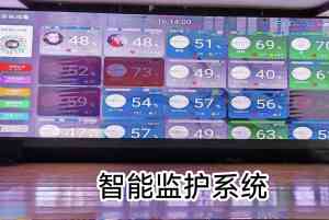 2026年衡水减肥减脂训练营解析:标美啦体育发展服务体系与优势盘点