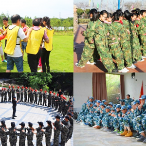2026年拓展训练机构怎么选?河南鹰雁教育一站式赋能企业团队建设解析