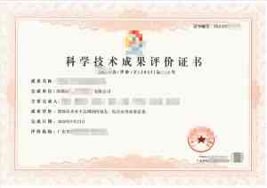 2026年深圳高新申报服务机构推荐:中科智创管理咨询实力解析