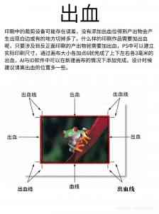 2026年济宁平面设计培训机构推荐:美开乐职业培训学校深度解析