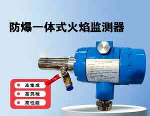 2026年陕西离子火焰检测器厂家：科汇热工技术专业解析