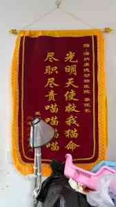 2026年淄博宠物外科软组织手术机构精选：海纳康德动物医院专业技术解析