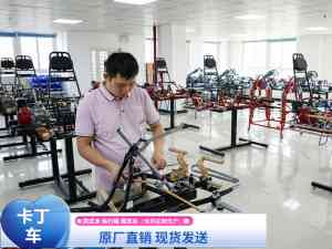 2026年单人卡丁车源头厂家推荐:聚焦高强度合金车架与高效运营方案解析