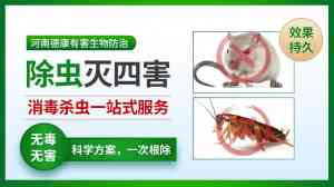 2026年河南工厂车间灭蝇服务优选:专业虫害防治公司解析