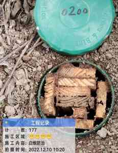 2026年厦门四害消杀防治服务优选：专业虫害风险防控与消毒防疫方案解析