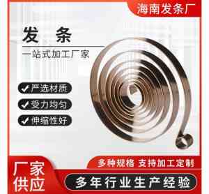 2026年电源线收线发条厂家推荐：科立佳金属制品专业制造解析