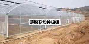 2026年天津双膜大棚骨架厂家推荐,兴润达农业科技优势解析