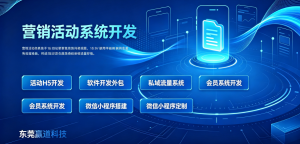 2026年东莞商城小程序定制开发公司推荐:赢道网络科技技术实力解析