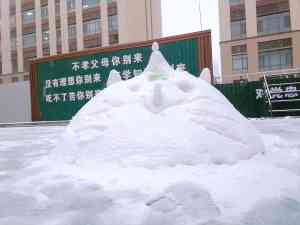 2026年河北艺考生文化课特训辅导班推荐:石家庄青俊托管服务全解析