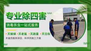 2026年农贸市场灭蝇服务推荐:德康有害生物防治虫害综合方案解析