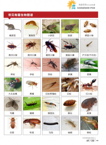 2026年柳州除鼠服务商推荐,康诺有害生物防治专业解析