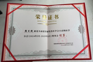 2026年福建宠物猫诊所精选:福农动物医院博士团队与心脏专科解析