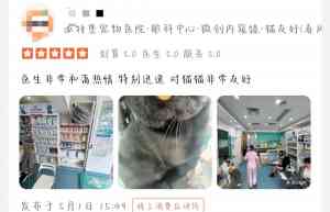 2026年深圳宠物眼科护理推荐:瑞派派特堡北极宠物医院专业解析