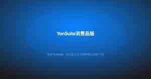 2026年武汉YonSuite代理商推荐:聚焦企业数智化转型服务实力解析