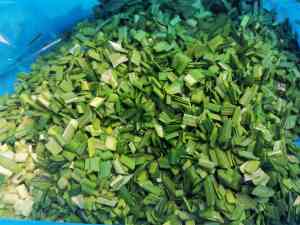 2026年大型切菜机厂家推荐:祥九瑞盈专注预制菜高效加工