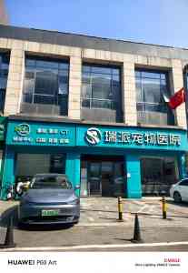 2026年武汉宠物外科护理技术解析:瑞派经十开动物诊疗