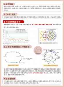 2026年兰州体内外驱虫宠物药渠道商推荐:清杨商贸全品类供应链解析与服务优势