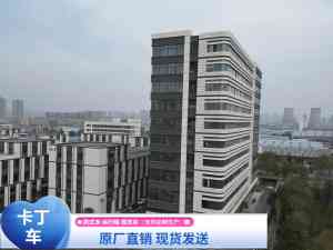 2026年单人卡丁车定做厂家推荐:卓远游乐工艺与定制解析