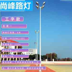 2026年新农村太阳能路灯定做厂家优选,尚峰照明工程品质解析