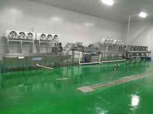2026年净菜加工流水线厂家推荐:明超机械专注果蔬清洗加工成套设备定制方案解析