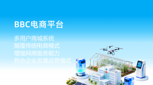 2026年小羊云商S2B2C优选:私域电商数字化解决方案解析