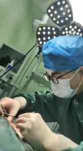 2026年武汉宠物外科医院选择指南
