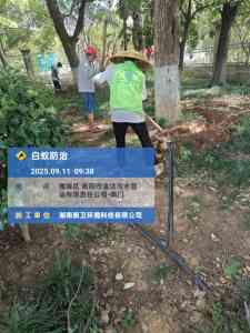 2026年衡阳白蚁防治公司精选:本地专业消杀团队,包治合同保障