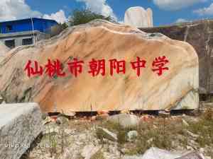 2026年武汉泰山石加工厂推荐：竣峰石业源头厂家解析