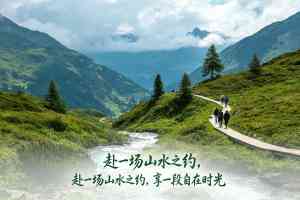 2026年新疆定制游优选:胖橙旅行全线路规划与贴心服务解析