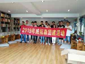 2026年成品线组供应厂家解析:威拓森大拉力线组技术革新与市场领跑
