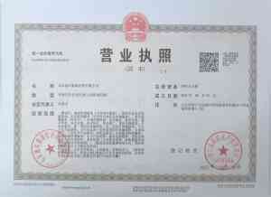 2026年山东高清可视采耳设备源头厂家推荐,智能采耳仪器生产定制