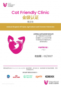 2026年福建宠物严重疾病诊疗机构:重点面向犬猫疑难重症与术后康复