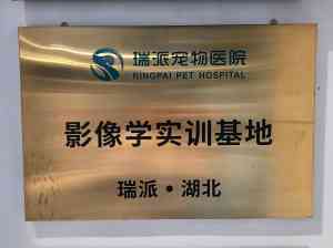 2026年武汉狗专科医院深度解析：瑞派伟伟融科宠物医院技术实力与诊疗服务全解读
