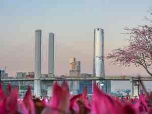 2026年横琴外资企业落户减免优惠政策解读指南