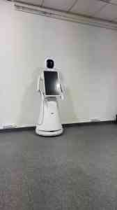 2026年开业庆典机器人出租厂家推荐：齐聚机器人定制化服务解析