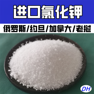 2026年60红钾氯化钾源头厂家推荐,鼎昊化工品质解析