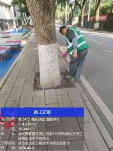 2026年白蚁防治服务优选，湘林有害生物防治专解华中堤坝/住宅隐患