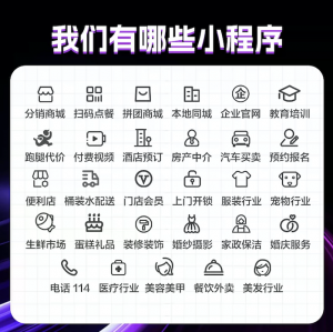 2026年中山小程序开发服务商推荐:专注制造企业数字化获客解决方案