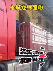 2026年馒头面粉源头厂家推荐:永城龙腾面粉,品质稳定的专业选择
