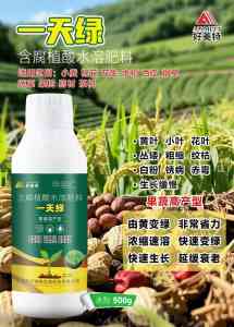 2026年河南黄化病专用药黄化克星源头工厂推荐
